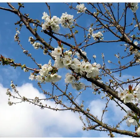 Fief Des 3 Guillaume Maison d'hôtes