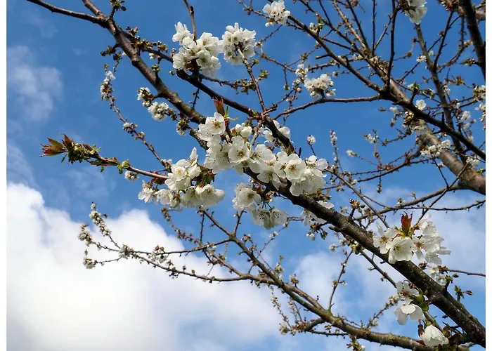 Fief Des 3 Guillaume D'hotes Guest house